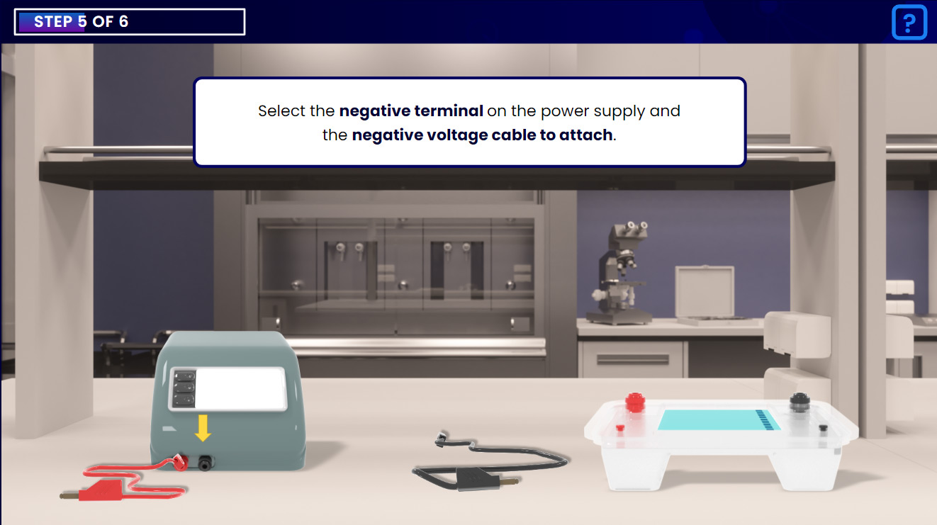 Screenshot of Lab Activity